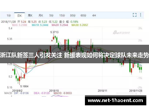 浙江队新签三人引发关注 新援表现如何将决定球队未来走势