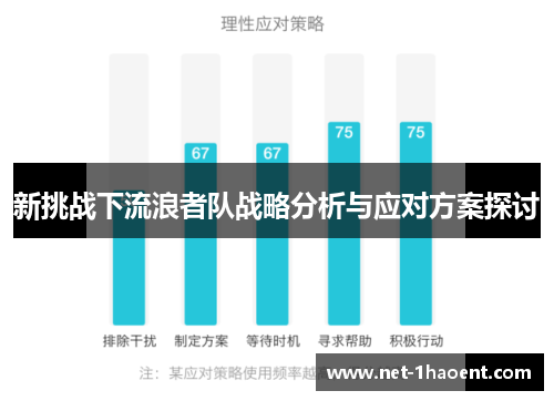 新挑战下流浪者队战略分析与应对方案探讨