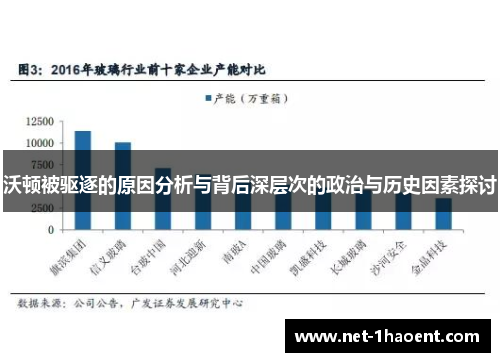沃顿被驱逐的原因分析与背后深层次的政治与历史因素探讨