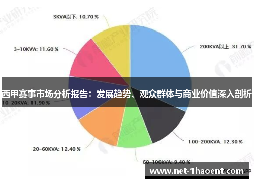 西甲赛事市场分析报告：发展趋势、观众群体与商业价值深入剖析