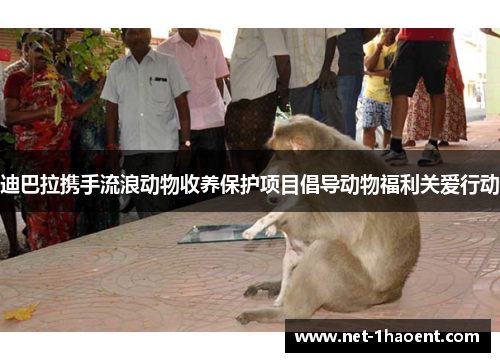 迪巴拉携手流浪动物收养保护项目倡导动物福利关爱行动