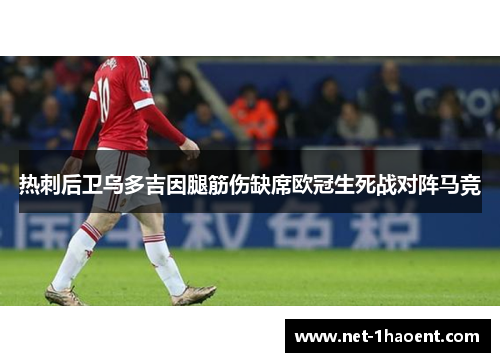 热刺后卫乌多吉因腿筋伤缺席欧冠生死战对阵马竞