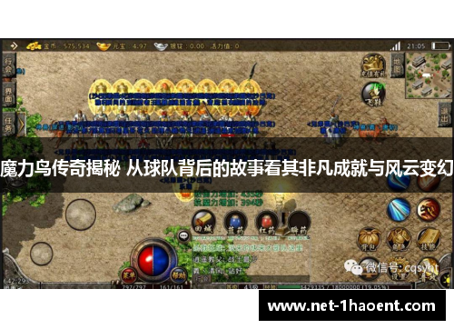 魔力鸟传奇揭秘 从球队背后的故事看其非凡成就与风云变幻