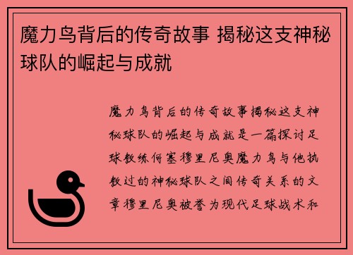 魔力鸟背后的传奇故事 揭秘这支神秘球队的崛起与成就