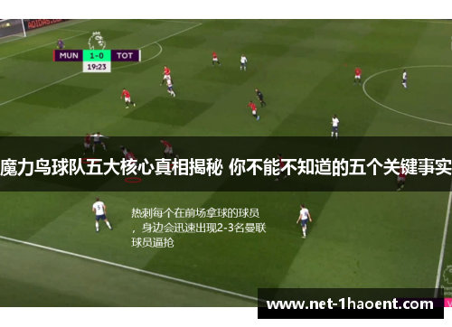 魔力鸟球队五大核心真相揭秘 你不能不知道的五个关键事实