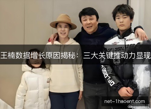 王楠数据增长原因揭秘:三大关键推动力显现 王楠数据增长原因揭秘:三大关键推动力显现